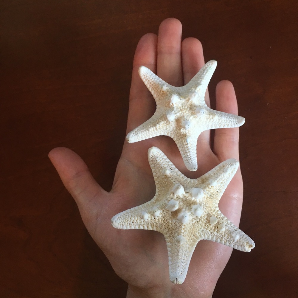 A pair of mermaid starfish hair clips